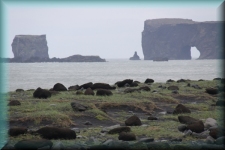 Dyrhólaey